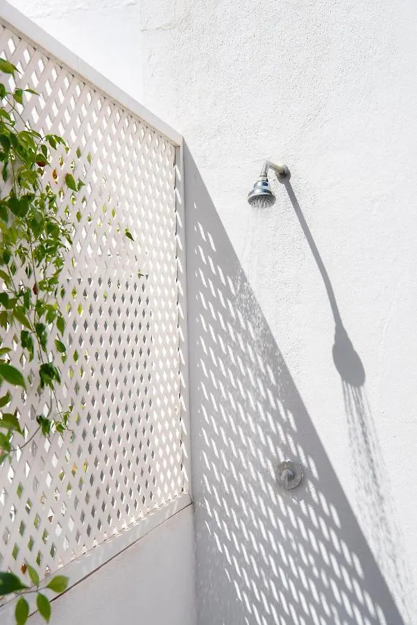 Lepanto Atico, Un Oasis En El Centro De Sevilla